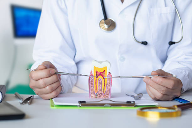 Best Emergency Orthodontic Repairs in Dunlap, IA